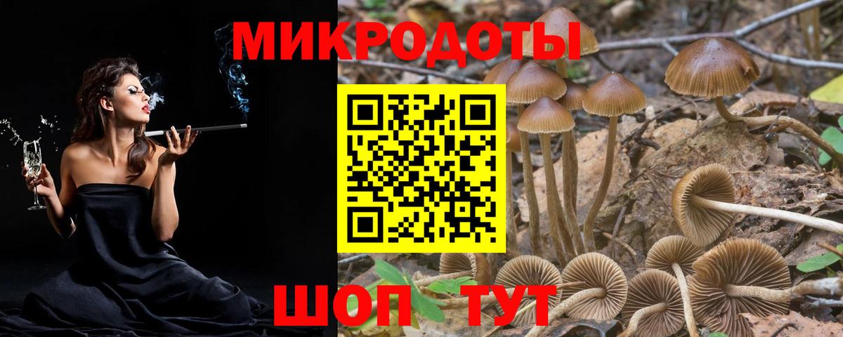 Псилоцибиновые грибы мухоморы Каменск-Шахтинский